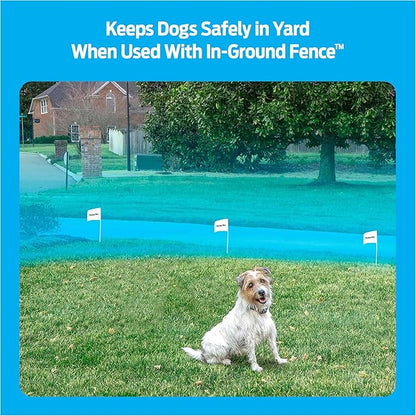 Premier Pet In-Ground Add-A-Dog Collar 4 Static