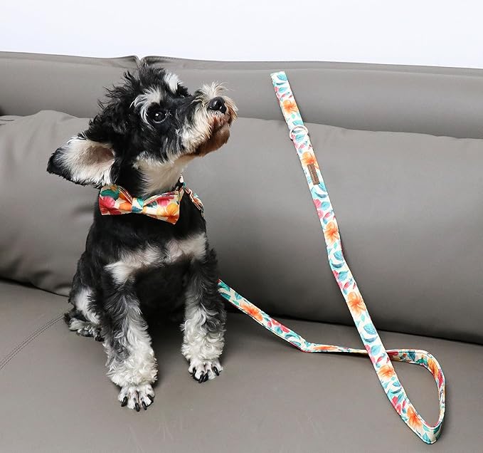 Unique Style Paws Cotton Dog Collar with Bow