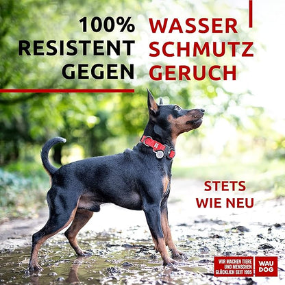 WAUDOG Waterproof Dog Collar