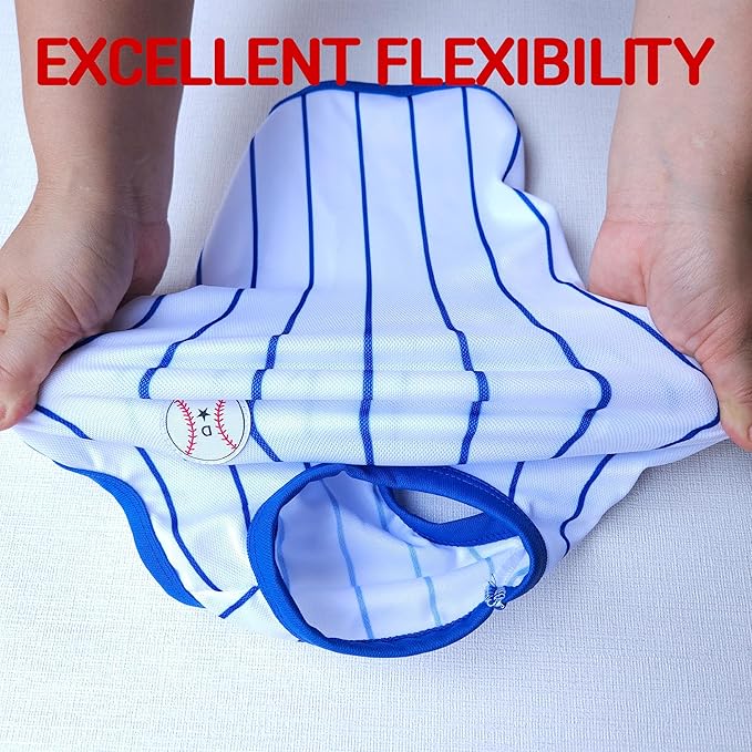 Dachshund Clothes for Dogs Baseball Mini and Adults T Shirts (XL