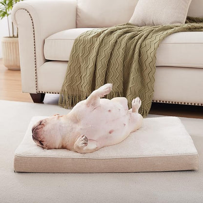 Medium Dog Beds for Medium Dogs