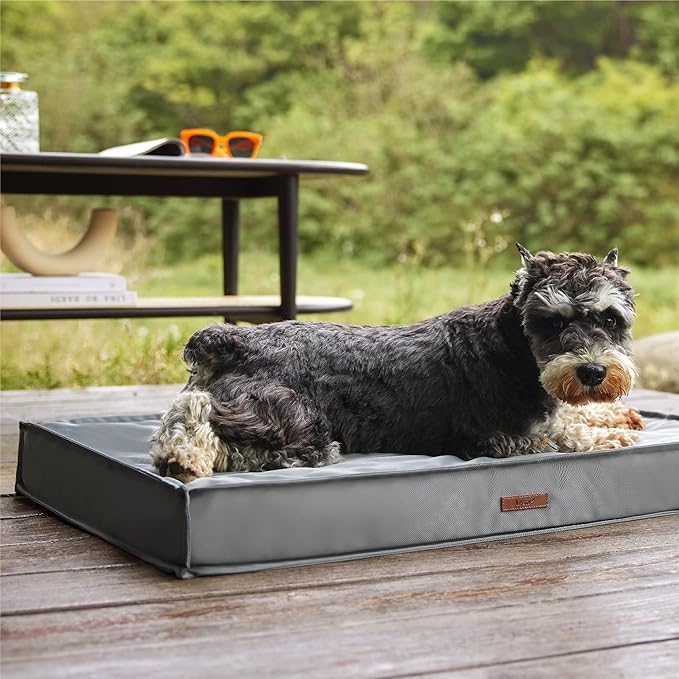 Lesure Waterproof Dog Bed for Medium Dogs