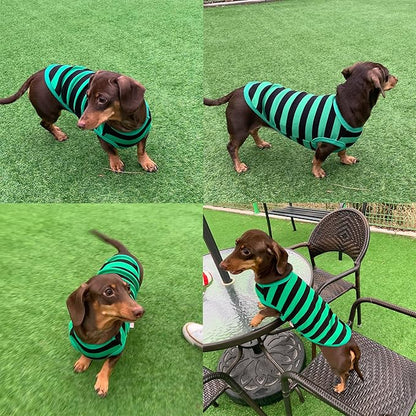 Dachshund Clothes for Dogs Mini and Adults T Shirts (S