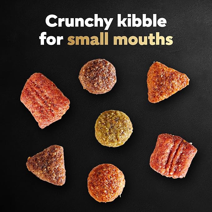 CESAR Adult Small Breed Dry Dog Food Rotisserie Chicken Flavor with Spring Vegetables Garnish, 5 lb. Bag