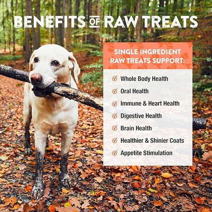 Northwest Naturals Raw Rewards Freeze-Dried Shrimp Treats for Dogs and Cats - Bite-Sized Pieces - Healthy, 1 Ingredient, Human Grade Pet Food, All Natural - 1 Oz (Packaging May Vary)