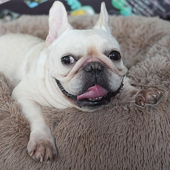 nononfish Puppy Beds for Small Dogs Washable 23 Inches