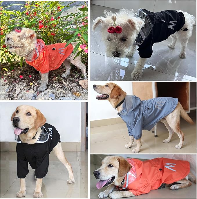 MMAMORE Dog Raincoat