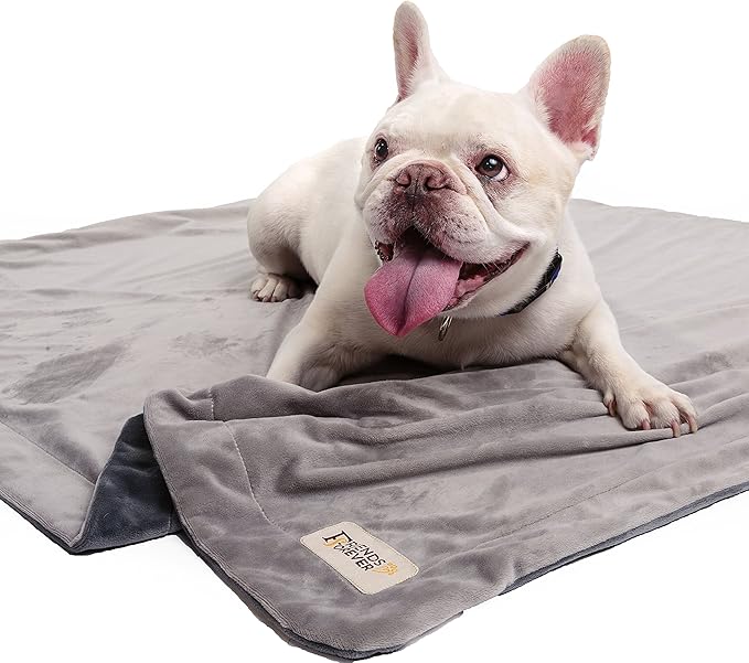 Friends Forever Durable Dog Blanket for Couch Protection | Two Tone Reversible Pet Hair Resistant Blanket for Dogs Cats Bed Kennel Crate Car Seat - Soft Velvet, Warm Fleece (Medium 45x35)