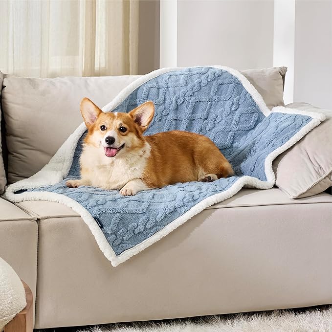 Bedsure Waterproof Dog Blankets for Medium Dogs 30"x40", Light