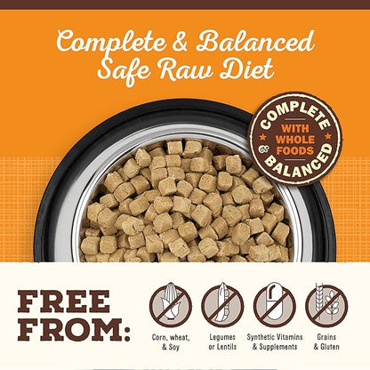 Primal Freeze Dried Dog Food Pronto, Beef; Scoop & Serve, Complete & Balanced Meal; Also Use as Topper or Treat; Premium, Healthy, Grain Free High Protein Raw Dog Food (16 oz, 2-pack)