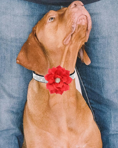 Rhinestone Dog Collar for Small Medium Dogs Black XS Dog Collar for Girl Female Dogs Flower Puppy Collar for Summer Spring Wedding Puppy Necklace Girl Dog Collar (Black