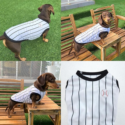 Dachshund Clothes for Dogs Baseball Mini and Adults T Shirts (M