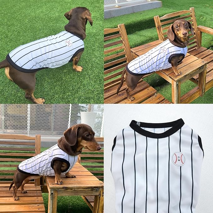 Dachshund Clothes for Dogs Baseball Mini and Adults T Shirts (S
