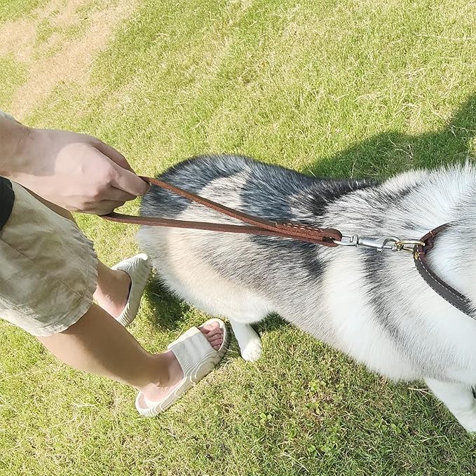 Leather Short Dog Leash 12" 360º Heavy