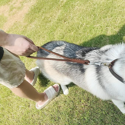 Leather Short Dog Leash 12" 360º Heavy