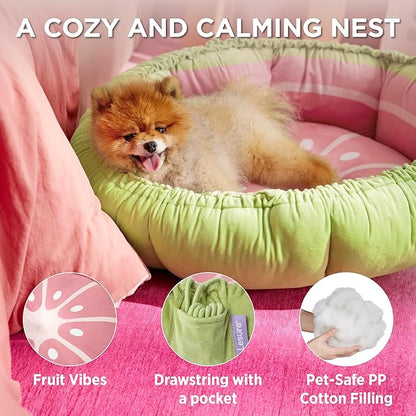 Lesure Cat Beds for Indoor Cats 21x21x7 Inches