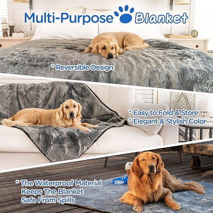 PAW BRANDS Waterproof Dog Blanket 60in x 50in Machine