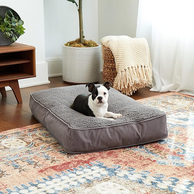 South Pine Porch Buddy Rectangle Pillow Style Dog Bed (24" x 36")