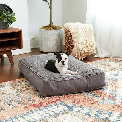 South Pine Porch Buddy Rectangle Pillow Style Dog Bed (24" x 36")