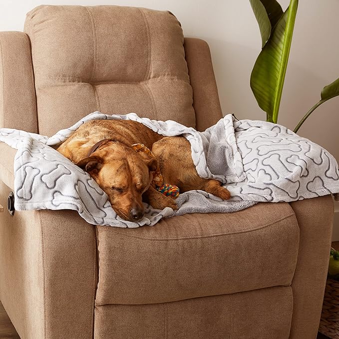 Bone Dry Embossed Bone Print Pet Blanket 36x48", Taupe