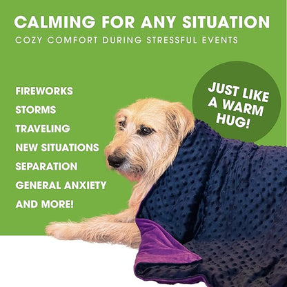BARMY Weighted Blanket for Dogs with Washable Cover (3 Sizes) Thunder Blankets for Dogs