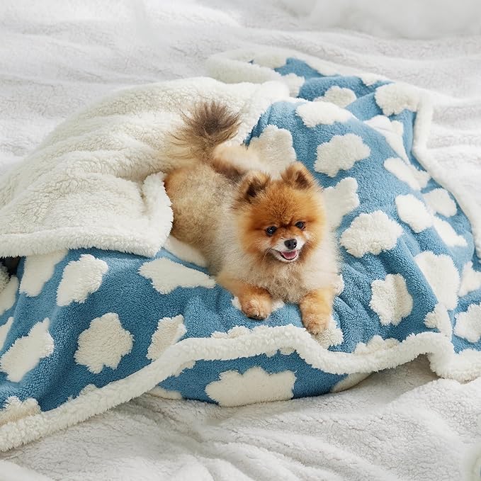 Lesure Waterproof Puppy Blanket for Small Dogs 3D Textured