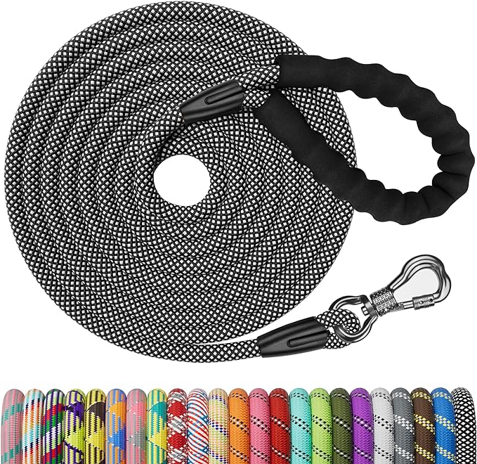 NTR Long Leash for Dog Training 100FT Dog
