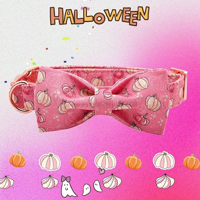 Elegant little tail Dog Collar with Bow