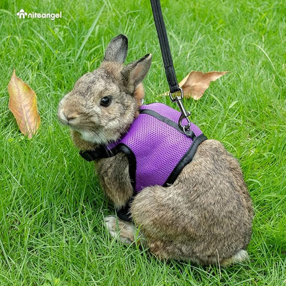 Niteangel Adjustable Soft Harness with Elastic Leash for Rabbits (L, Purple)