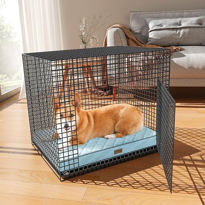 SunStyle Home Orthopedic Dog Beds for Medium Dogs