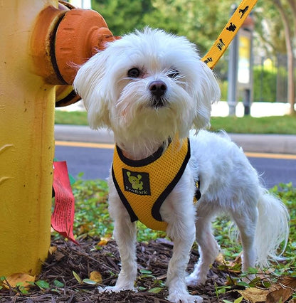 EcoBark Dog Leash - 4 FT / 5 FT / 6 FT Reflective Dog Leash- Eco-Bright Dog Leashes with Padded Handle - Strong Heavy Duty Dog Leash - Nylon Dog Leash for Medium and Large Dogs (Yellow Dog Leash)