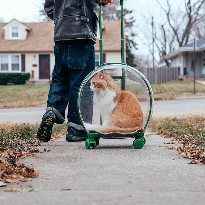 MiMu Transparent Bubble Pet Carrier with Wheels - Small Dog or Cat Trolley for Pet Travel - Cat Backpack Alternative