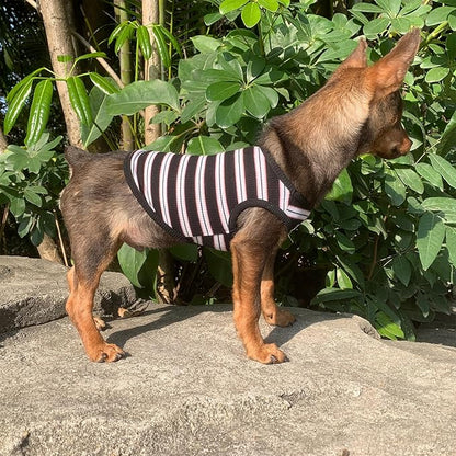 YQYS Dog Shirts Multi-color Striped Cotton Vest for Small Dogs and Cats Puppy Clothes Teacup Dog Clothing Tank Top for Chihuahua Miniature Pinscher Black Large