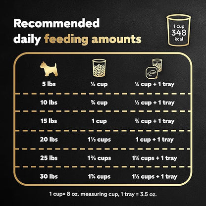 CESAR Adult Small Breed Dry Dog Food Rotisserie Chicken Flavor with Spring Vegetables Garnish, 5 lb. Bag