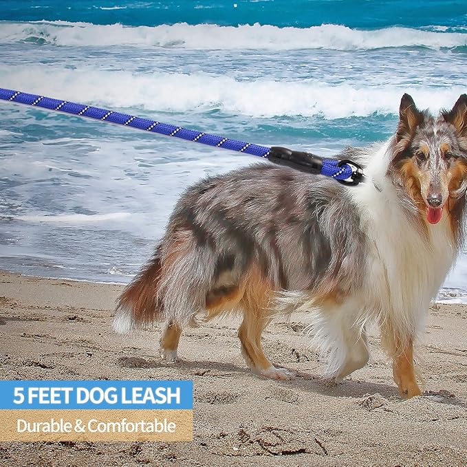 BAAPET 2/4/5/6 FT Dog Leash with Comfortable Padded Handle and Highly Reflective Threads for Small Medium and Large Dogs (5FT-1/2''