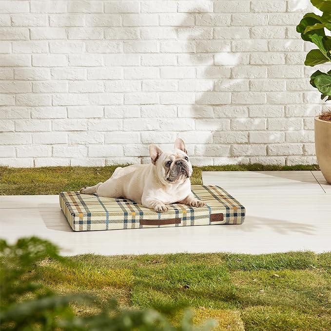 Bedsure Medium Patterned Dog Bed for Medium Dogs Cover(30"x20", Cream)