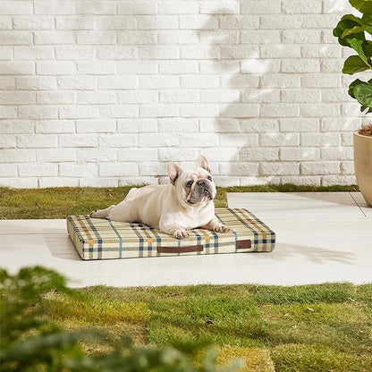 Bedsure Medium Patterned Dog Bed for Medium Dogs Cover(30"x20", Cream)