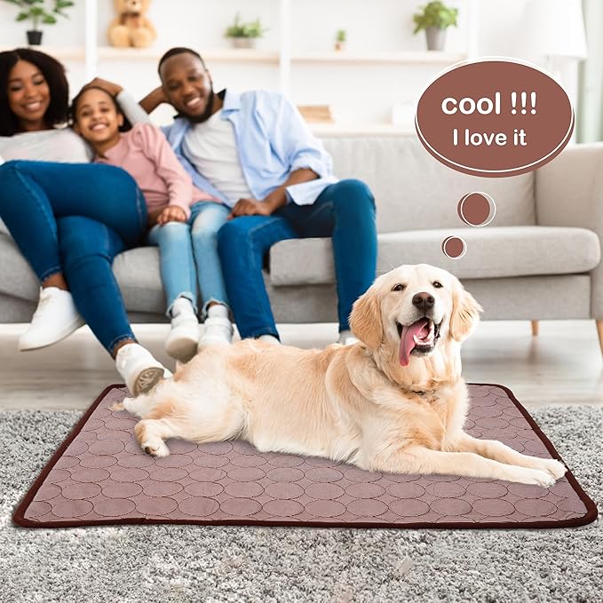 PUMYPOREITY Pet Cooling Mat