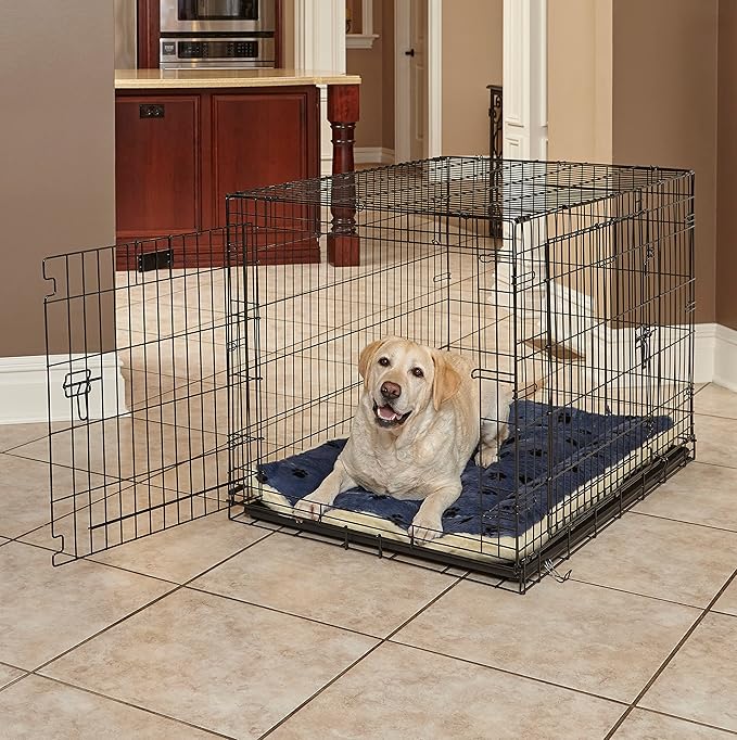 MidWest Homes for Pets Reversible Paw Print Pet Bed in Blue / White 40L x 26W x 3.5H for