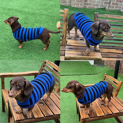 Dachshund Clothes for Dogs Mini and Adults T Shirts (XL