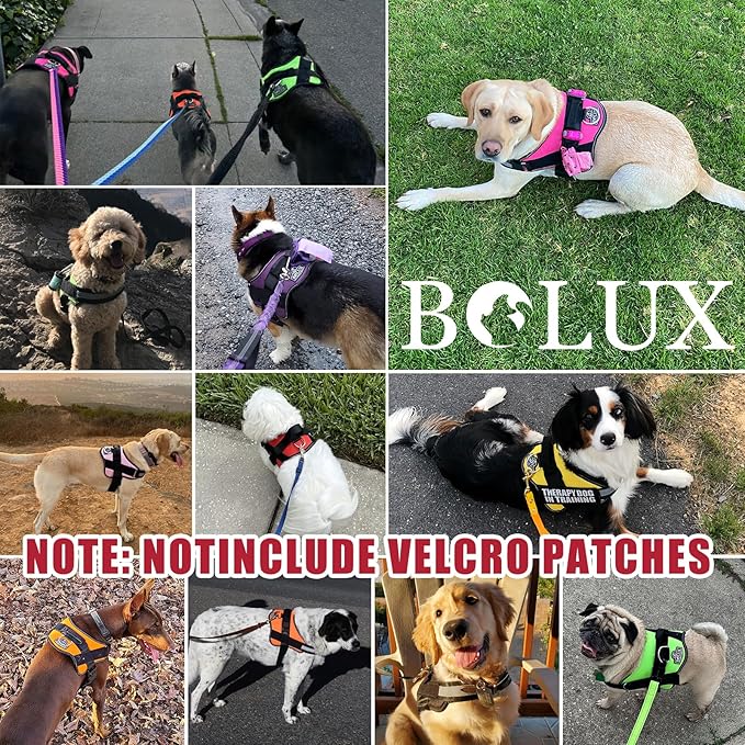 Bolux Dog Harness, No-Pull Reflective Dog Vest, Breathable Adjustable Pet Harness with Handle for Outdoor Walking - No More Pulling, Tugging or Choking (Flag, XX-Large)