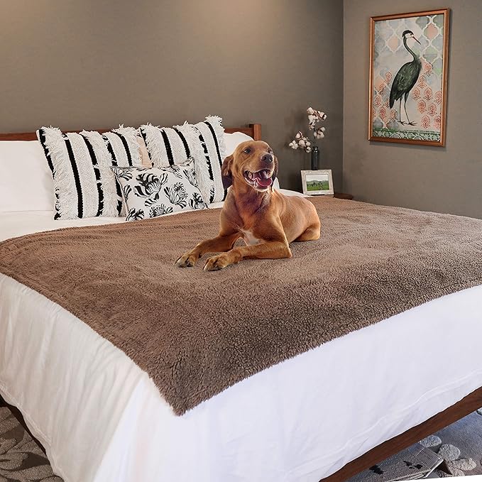 rocket & rex Extra Large Waterproof Dog Blankets for Dogs