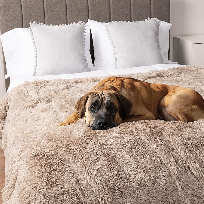 PetAmi Waterproof Dog Blanket for Large Dog 90x90 Taupe