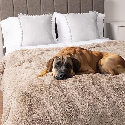 PetAmi Waterproof Dog Blanket for Large Dog 90x90 Taupe