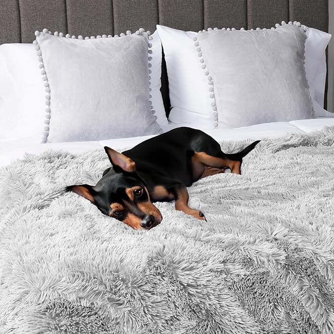 PetAmi Waterproof Dog Blanket for Small Medium Dogs 29x40 Light