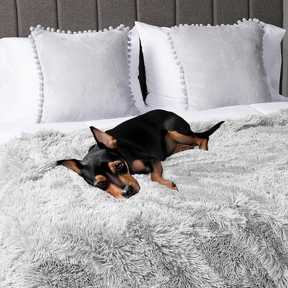 PetAmi Waterproof Dog Blanket for Large Dog 60x80 Light