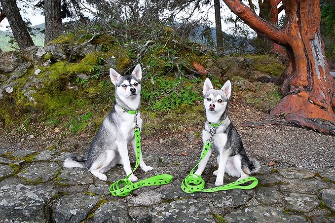 EcoBark Dog Leash