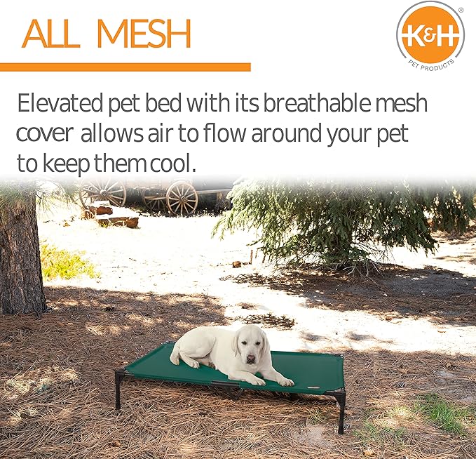 K&H Pet Products Elevated Outdoor Dog Cot Bed