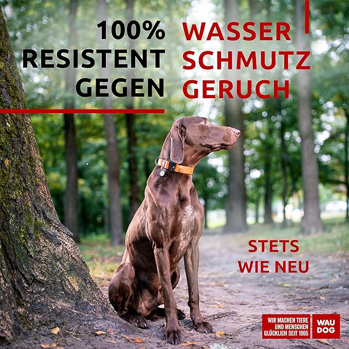 WAUDOG Waterproof Dog Collar