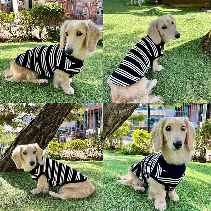 Dachshund Clothes for Dogs Mini and Adults T Shirts (L